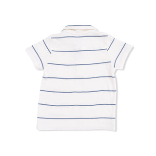 Vintage Stripe - Polo with Casual Short