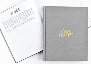 A Pregnancy Prayer Journal & Memory Book