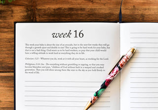 A Pregnancy Prayer Journal & Memory Book