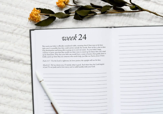 A Pregnancy Prayer Journal & Memory Book