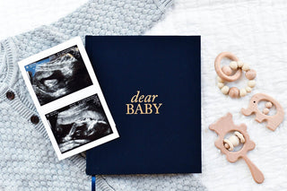 A Pregnancy Prayer Journal & Memory Book