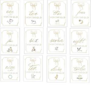 Platinum Month by Month Baby Cards